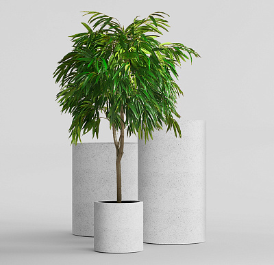 Кашпо CONCRETIKA CYLINDER EGG WHITE D30H90 заказать и купить Кашпо CONCRETIKA CYLINDER EGG WHITE D30H90 заказать и купить по цене 25 060 руб ниже рынка от производителя с доставкой.