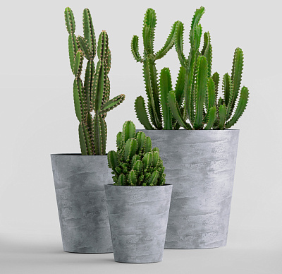 Кашпо CONCRETIKA CRATER CONCRETE GREY LIGHT D20H16 заказать и купить Кашпо CONCRETIKA CRATER CONCRETE GREY LIGHT D20H16 заказать и купить по цене 5 850 руб ниже рынка от производителя с доставкой.