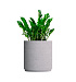 Кашпо CONCRETIKA CYLINDER XL EROSIA WHITE D70H80 заказать и купить с доставкой из магазина производителя Конкретика по цене 53 560 руб.