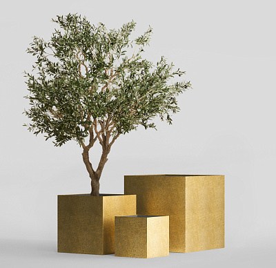 Кашпо CONCRETIKA CUBE RICH GOLD 60x60x60 заказать и купить Кашпо CONCRETIKA CUBE RICH GOLD 60x60x60 заказать и купить по цене 37 130 руб ниже рынка от производителя с доставкой.