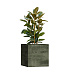 Кашпо CONCRETIKA CUBE CAYMAN GREEN 70x70x70 заказать и купить с доставкой из магазина производителя Конкретика по цене 62 990 руб.