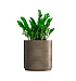 Кашпо CONCRETIKA CYLINDER XL SMOKEY GREY D70H80 заказать и купить с доставкой из магазина производителя Конкретика по цене 55 890 руб.