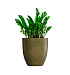 Кашпо CONCRETIKA VASE 3 AVOCADO D60H65 заказать и купить с доставкой из магазина производителя Конкретика по цене 38 510 руб.