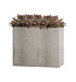 Кашпо CONCRETIKA DIVIDER CONCRETE WHITE 60x30x50 заказать и купить с доставкой из магазина производителя Конкретика по цене 29 280 руб.