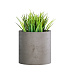 Кашпо CONCRETIKA CYLINDER CONCRETE WHITE D20H20 заказать и купить с доставкой из магазина производителя Конкретика по цене 5 540 руб.