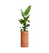 Кашпо CONCRETIKA CYLINDER RED CLAY D40H80 заказать и купить с доставкой из магазина производителя Конкретика по цене 25 940 руб.