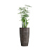 Кашпо CONCRETIKA CONUS TAUPE CONCRETE D40H80 заказать и купить с доставкой из магазина производителя Конкретика по цене 23 950 руб.