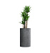 Кашпо CONCRETIKA CYLINDER SMOKEY BLUE D45H80 заказать и купить с доставкой из магазина производителя Конкретика по цене 34 600 руб.