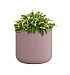 Кашпо CONCRETIKA TOPPER COCOA D40H40 заказать и купить с доставкой из магазина производителя Конкретика по цене 12 420 руб.
