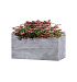 Кашпо CONCRETIKA BALCONY CONCRETE GREY LIGHT 40x20x20 заказать и купить с доставкой из магазина производителя Конкретика по цене 7 990 руб.