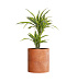 Кашпо CONCRETIKA CYLINDER RED CLAY D60H65 заказать и купить с доставкой из магазина производителя Конкретика по цене 35 080 руб.