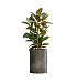 Кашпо CONCRETIKA CYLINDER BREZENT GREY D50H65 заказать и купить с доставкой из магазина производителя Конкретика по цене 33 260 руб.