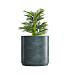 Кашпо CONCRETIKA CYLINDER XL OCEAN GREEN D100H105 заказать и купить с доставкой из магазина производителя Конкретика по цене 107 780 руб.