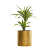 Кашпо CONCRETIKA CYLINDER RICH GOLD D60H65 заказать и купить с доставкой из магазина производителя Конкретика по цене 35 700 руб.