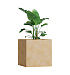 Кашпо CONCRETIKA CUBE LEMON 100x100x100 заказать и купить с доставкой из магазина производителя Конкретика по цене 127 800 руб.