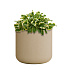 Кашпо CONCRETIKA TOPPER SAHARA D40H40 заказать и купить с доставкой из магазина производителя Конкретика по цене 12 420 руб.