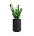 Кашпо CONCRETIKA TOPPER EGG BLACK D40H60 заказать и купить с доставкой из магазина производителя Конкретика по цене 17 740 руб.