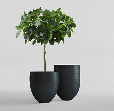 Кашпо CONCRETIKA BARREL ANTHRACITE D41H60 заказать и купить по цене 22 620 руб ниже рынка от производителя с доставкой.
