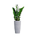 Кашпо CONCRETIKA CONUS EROSIA WHITE D30H55 заказать и купить с доставкой из магазина производителя Конкретика по цене 12 750 руб.