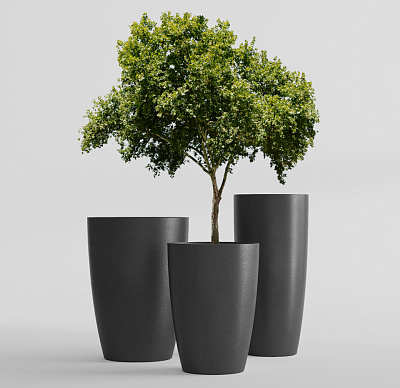 Кашпо CONCRETIKA CONUS NERO D50H69 заказать и купить Кашпо CONCRETIKA CONUS NERO D50H69 заказать и купить по цене 29 280 руб ниже рынка от производителя с доставкой.