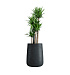 Кашпо CONCRETIKA CONE ANTHRACITE D38H60 заказать и купить с доставкой из магазина производителя Конкретика по цене 25 280 руб.