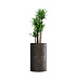 Кашпо CONCRETIKA CYLINDER TAUPE CONCRETE D45H80 заказать и купить с доставкой из магазина производителя Конкретика по цене 34 600 руб.