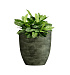 Кашпо CONCRETIKA VASE 3 CAYMAN GREEN D30H32 заказать и купить с доставкой из магазина производителя Конкретика по цене 10 710 руб.