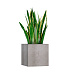 Кашпо CONCRETIKA CUBE CONCRETE WHITE 40x40x40 заказать и купить с доставкой из магазина производителя Конкретика по цене 17 460 руб.