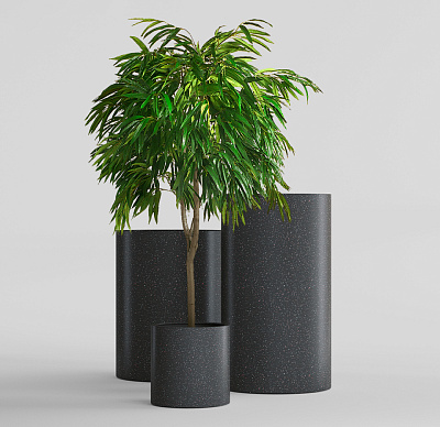 Кашпо CONCRETIKA CYLINDER EGG BLACK D20H20 заказать и купить Кашпо CONCRETIKA CYLINDER EGG BLACK D20H20 заказать и купить по цене 4 630 руб ниже рынка от производителя с доставкой.
