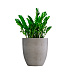 Кашпо CONCRETIKA VASE 3 CONCRETE WHITE D60H65 заказать и купить с доставкой из магазина производителя Конкретика по цене 40 880 руб.