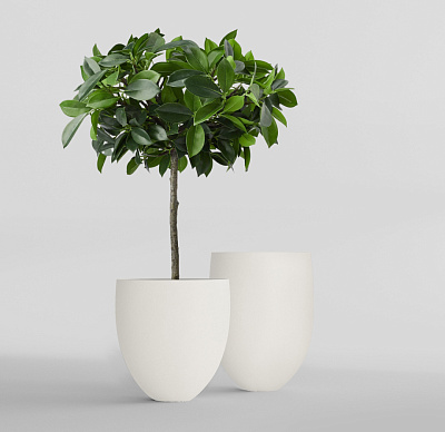 Кашпо CONCRETIKA BARREL SANTORINI D41H60 заказать и купить Кашпо CONCRETIKA BARREL SANTORINI D41H60 заказать и купить по цене 18 850 руб ниже рынка от производителя с доставкой.