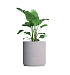 Кашпо CONCRETIKA CYLINDER XL EROSIA WHITE D80H85 заказать и купить с доставкой из магазина производителя Конкретика по цене 67 590 руб.