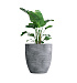 Кашпо CONCRETIKA VASE 3 CONCRETE GREY LIGHT D90H95 заказать и купить с доставкой из магазина производителя Конкретика по цене 93 410 руб.