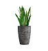 Кашпо CONCRETIKA CONUS CONCRETE GREY DARK D48H60 заказать и купить с доставкой из магазина производителя Конкретика по цене 25 280 руб.