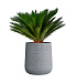 Кашпо CONCRETIKA CONE EROSIA WHITE D50H54 заказать и купить с доставкой из магазина производителя Конкретика по цене 27 570 руб.