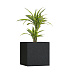 Кашпо CONCRETIKA CUBE EGG BLACK 80x80x80 заказать и купить с доставкой из магазина производителя Конкретика по цене 72 070 руб.
