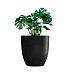 Кашпо CONCRETIKA VASE 3 NERO D75H82 заказать и купить с доставкой из магазина производителя Конкретика по цене 50 560 руб.