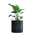 Кашпо CONCRETIKA CYLINDER XL ANTHRACITE D80H85 заказать и купить с доставкой из магазина производителя Конкретика по цене 70 520 руб.