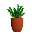 Кашпо CONCRETIKA VASE 3 EROSIA CORAL D60H65 заказать и купить с доставкой из магазина производителя Конкретика по цене 39 180 руб.