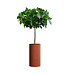 Кашпо CONCRETIKA CYLINDER EROSIA CORAL D30H60 заказать и купить с доставкой из магазина производителя Конкретика по цене 16 330 руб.