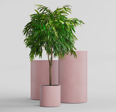 Кашпо CONCRETIKA CYLINDER COCOA D50H65 заказать и купить Кашпо CONCRETIKA CYLINDER COCOA D50H65 заказать и купить по цене 27 720 руб ниже рынка от производителя с доставкой.