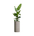 Кашпо CONCRETIKA CYLINDER EROSIA YELLOW D40H80 заказать и купить с доставкой из магазина производителя Конкретика по цене 26 400 руб.