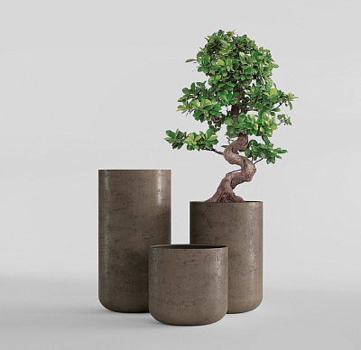 Кашпо CONCRETIKA TOPPER SMOKEY GREY D40H90 заказать и купить Кашпо CONCRETIKA TOPPER SMOKEY GREY D40H90 заказать и купить по цене 31 930 руб ниже рынка от производителя с доставкой.