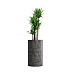 Кашпо CONCRETIKA CYLINDER CONCRETE GREY DARK D45H80 заказать и купить с доставкой из магазина производителя Конкретика по цене 34 600 руб.