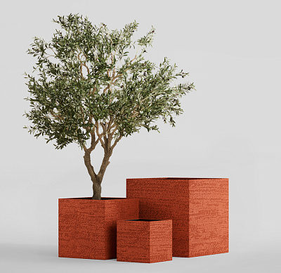 Кашпо CONCRETIKA CUBE EROSIA CORAL 50x50x50 заказать и купить Кашпо CONCRETIKA CUBE EROSIA CORAL 50x50x50 заказать и купить по цене 25 920 руб ниже рынка от производителя с доставкой.