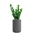 Кашпо CONCRETIKA TOPPER LONDON GREY D40H60 заказать и купить с доставкой из магазина производителя Конкретика по цене 17 740 руб.