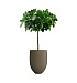 Кашпо CONCRETIKA BARREL OLIVE D41H60 заказать и купить с доставкой из магазина производителя Конкретика по цене 18 850 руб.