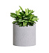 Кашпо CONCRETIKA CYLINDER EGG WHITE D30H30 заказать и купить с доставкой из магазина производителя Конкретика по цене 8 870 руб.