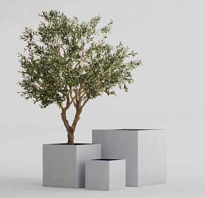 Кашпо CONCRETIKA CUBE SHALE 100x100x100 заказать и купить Кашпо CONCRETIKA CUBE SHALE 100x100x100 заказать и купить по цене 113 100 руб ниже рынка от производителя с доставкой.