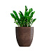 Кашпо CONCRETIKA VASE 3 COFFEE D60H65 заказать и купить с доставкой из магазина производителя Конкретика по цене 38 510 руб.